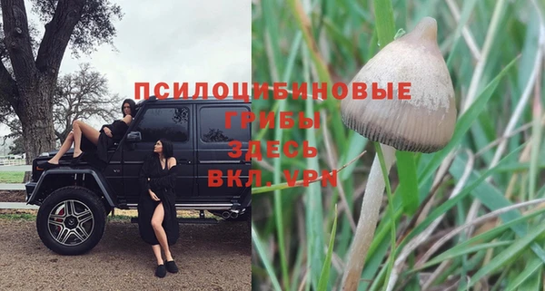 бошки Заволжск